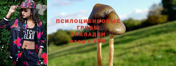 герыч Верхний Тагил